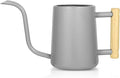 Watering Can Indoor Plants, 35 oz/1000 ml Metal Stainless Steel Watering Can Pot with Long Spout for Indoor House Plants Bonsai Outdoor Garden Flower Decorative (Gray)