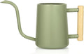 Watering Can Indoor Plants, 35 oz/1000 ml Metal Stainless Steel Watering Can Pot with Long Spout for Indoor House Plants Bonsai Outdoor Garden Flower Decorative (Sage Green)