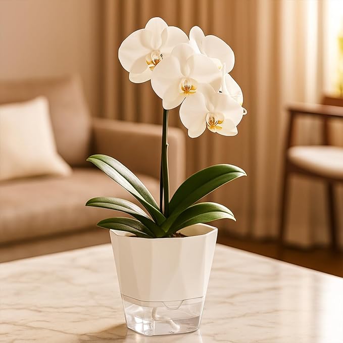12 Pack Self Watering Pots for Indoor Plants, 5 Inches Self Watering Planters Small African Violet Self Watering Clear Pots for Plants Herb Orchid Flower Houseplant Pots, White