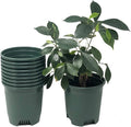 30-Pack Wholesale Nursery Pot in Bulk 5.5 Inch 0.5 Gallon Plastic Planters for Outdoor Indoor Plants Gardening Flower Pots with Drainage Holes Color Green