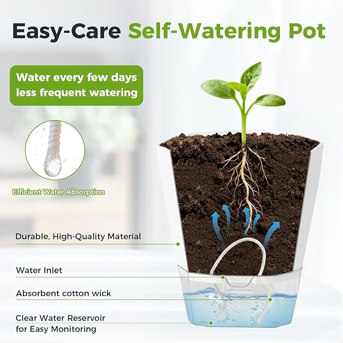 12 Pack Self Watering Pots for Indoor Plants, 5 Inches Self Watering Planters African Violet Self Watering Clear Pots for Plants Herb Orchid Flower Houseplant, Dark Grey