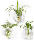 Mkono Wall Planter Propagation Stations Hanging Glass Terrariums Vase Container for Propagating Hydroponic Plants Flowers Home Office Living Room Bathroom Garden Decor, 3 Pack
