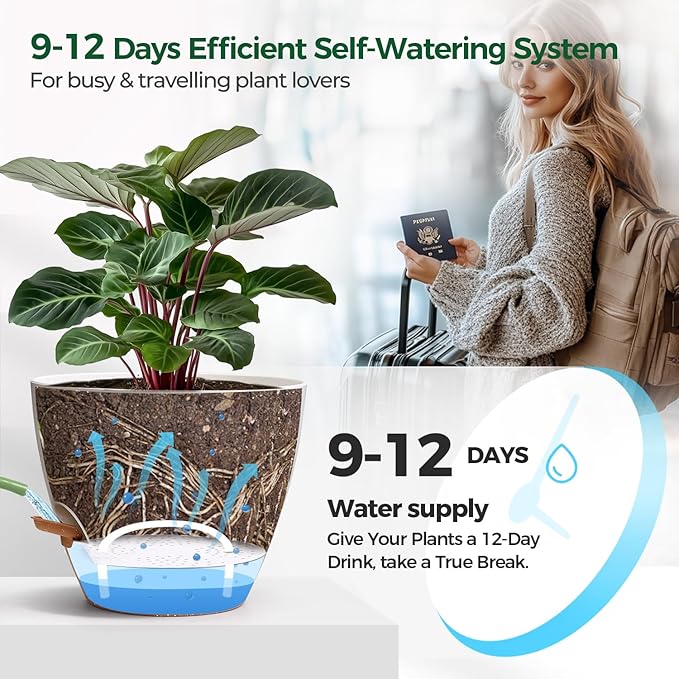 T4U 3 Pack Self Watering Pots (8"+10"+12") - Water Level Indicator & Deep Reservoir, Mess-Free Planters for Busy People, Beginners & Gardeners, Fits Pothos to Monstera, Indoor Outdoor Use (White)