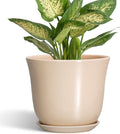 Ceramic Pots for Plants - 5.6 Inch Plant Pot with Drainage Hole and Saucer, Round Orchid Succulent Pots for Indoor Outdoor, Modern Small Planter, Home Office Decor, Gifts for Women, Beige