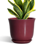 Ceramic Planter - 8 Inch Plant Pot with Drainage Hole and Saucer, Round Planter for Indoor Outdoor, Modern Flower Pots, Porch Garden Home Decor, Gifts for Plant Lovers, Red