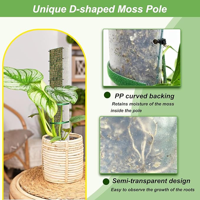 60"/40"/24" Metal Moss Pole, D Shape Sphagnum Moss Pole, Moss Poles for Climbing Plants, Monstera, Indoor Climbing Plants (3 Each of 40" 24")