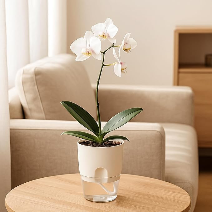 Planterhoma 8 Pack Self Watering Pots for Indoor Plants, 6 Inch Plant Pot Plastic Self Watering Planter for Orchid, African Violet, Small Clear Flower Pots with Drainage Holes and Wicking Rope, White