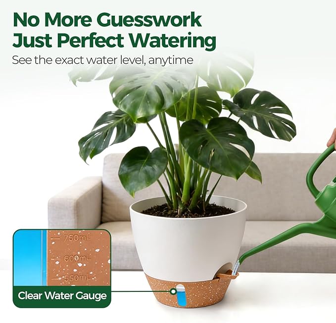 T4U 12 Inch Self Watering Pot - Water Level Indicator & Deep Reservoir, Mess-Free Planter for Busy People, Beginners & Gardeners, Fits Rubber Tree/Fiddle Leaf Fig Plants, Indoor Outdoor Use (White)