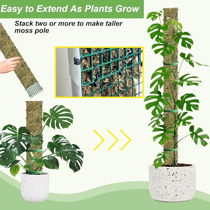 60"/40"/24" Metal Moss Pole, D Shape Sphagnum Moss Pole, Moss Poles for Climbing Plants, Monstera, Indoor Climbing Plants (2 Each of 60" 40" 24")