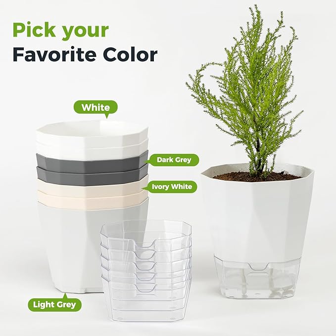 6 Pack Self Watering Plant Pots 8.4" Self Watering Planters for Indoor and Outdoor Plants African Violet Self Watering Clear Pots for Plants Large Herb Orchid Flower Houseplant Pots, Dark Grey