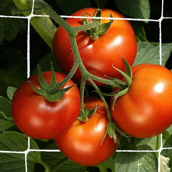 Trellis Netting, CANAGROW Heavy-Duty Garden Plant Trellis Netting for Climbing Plants, Outdoor Indoor Grow Net for Beans Tomatoes Peas Pumpkin Flowers, 6x30ft, 1 Pack