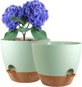 8 inch Self Watering Pots, 2 Pack Plastic Planters with Mesh Drainage Holes for Garden Plants and Flower, Plants Pots with Deep Reservoir for Indoor Outdoor Plants, Green with Brown