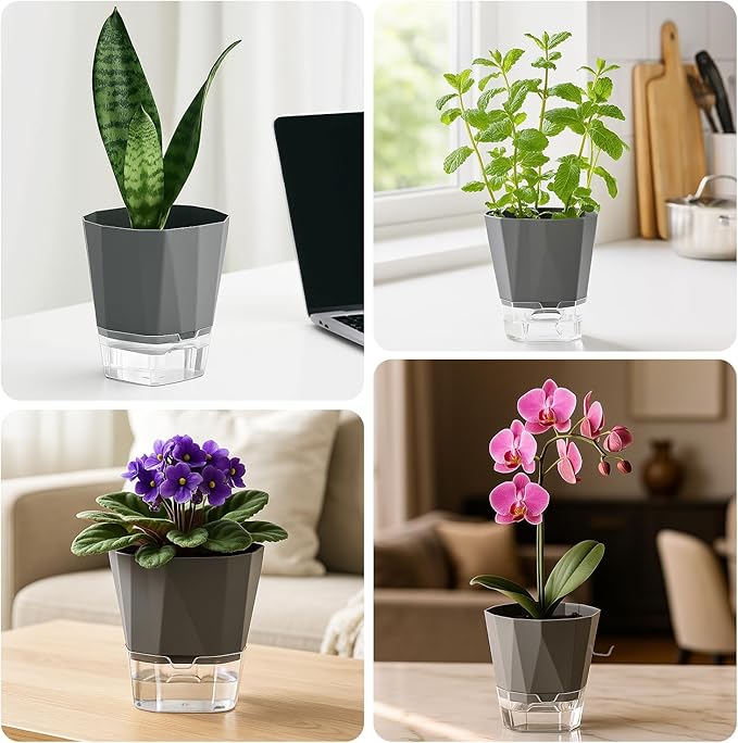 12 Pack Self Watering Plant Pots 6 Inches Self-Watering Planters for Indoor and Outdoor Plants African Violet Succulent Pots Clear Pot for Plants Large Herb Orchid Flower Houseplant Plant, Dark Grey