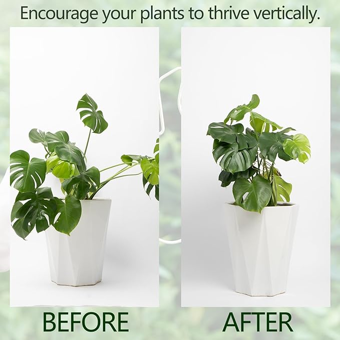 Monstera Stem Support - 5-Piece Durable Plant Support System for Monstera & Turtle Shell Plants -Premium -Quality Leaf Clamps -Easy-to-Use Indoor Garden Stabilizers for Healthy Growth