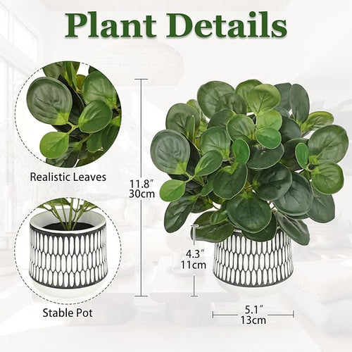 12" Artificial Plants Indoor Small Fake Plant in Ceramic Pot, Silk Plants for Home Decor Indoor, Faux Peperomia Potted Plant for Shelves, Desks, Home, Room, Office, Bedroom, Entryway, Tabletop Decor