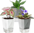 3 Pack Self Watering Flower Pots 6.5 Inch, Plant Pots for Indoor Outdoor, Self Watering Planters with Wick Rope and Clear Reservoir