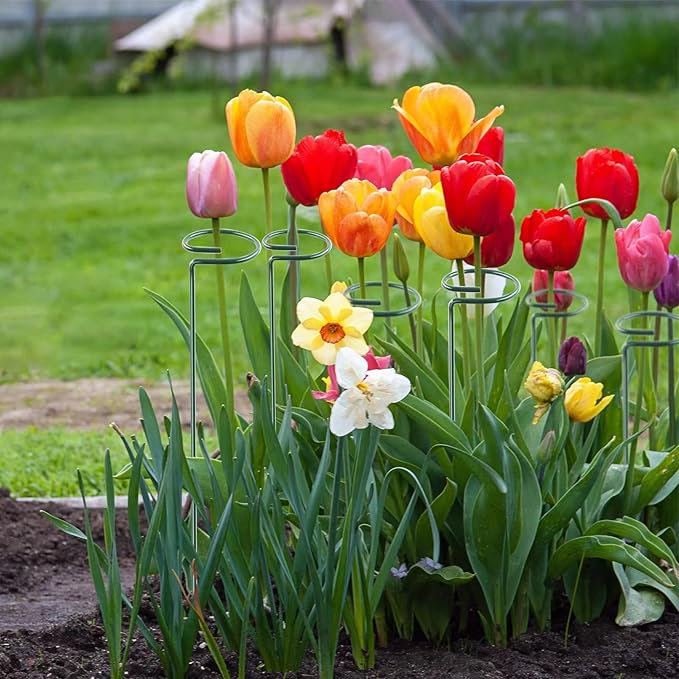 12 Pack 18 Inch Plant Support Stakes, Metal Single stemmed Flower Support Hoops，Garden Plant Stakes Plant Prop for Amaryllis Orchid Lily Rose Peony Tomatoes Gladiolus