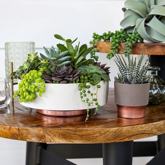 The HC Companies 6 Inch Round Plastic Succulent Capri Bowl 6"x6"x2.25" in Artisan Taupe with Copper Bottom Color