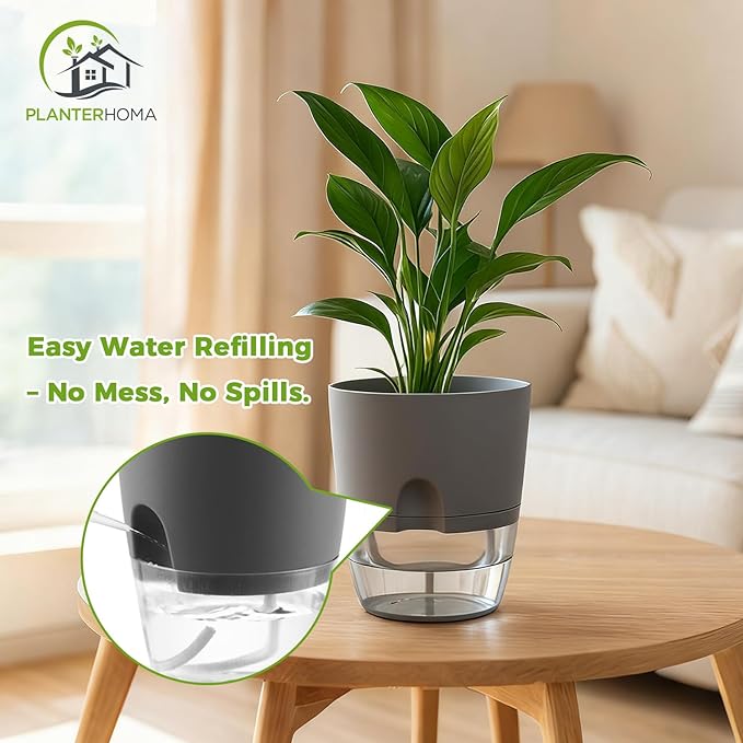 Planterhoma 6 Pack Self Watering Pots for Indoor Plants, 3.2/4/6 Inch Plant Pot Plastic Self Watering Planter for Orchid, African Violet, Small Clear Flower Pots with Drainage Holes and Wicking, Grey