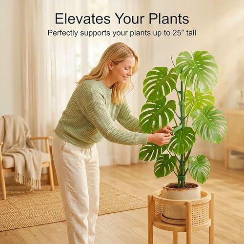 10-Pack Monstera Plant Support Stakes - Stackable Sticks for Indoor Plants up to 25" - Outdoor Garden Poles & Trellis with Tape & Twist Tie for Climbing Vines