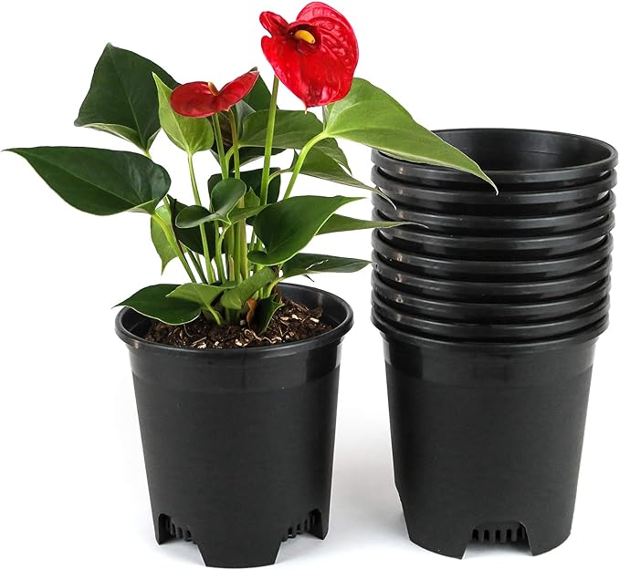 Wholesale Bulk Nursery Pot 5.5 Inch Black Plastic Planters 30-Pack 0.5 Gallon Pots for Outdoor Indoor Plants Gardening Flower with Drainage Holes