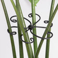 Monstera Plant Support Hook - 4.1x4.1IN 5PCS, Durable Adjustable Stem Support System, Gentle Protection for Monstera and Fishbone Cactus, Professional Indoor Plant Stabilizer