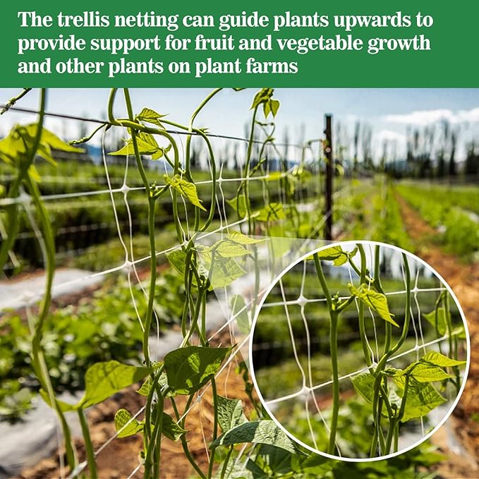 2 PCS Garden Plant Trellis Netting - Sukh 5 x 15 ft Trellis Net Polyester Trellis Netting Garden Square Mesh for Climbing Plants Fruits Vegetables VinesGrow Tents