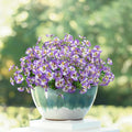 24 Bundles Artificial Pansy Flowers for Outdoor, Faux Silk Pansies Spring Flowers Outside for Planter Front Door Porch Yard Patio Window Box Home Decor (White Purple)