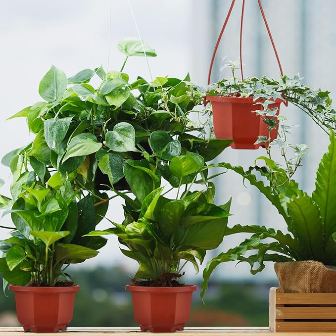 Roshtia 50 Pcs 3.7 inch Plastic Hanging Plant Pots with Hooks Flower Pots Baskets Outdoor Hanging Nursery Planter Holder for Home Garden Balcony Porch(Brown, 3.7 inch)