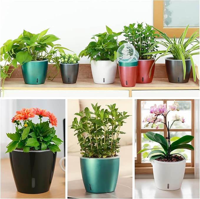 Self Watering Pots for Indoor Plants, 6-Pack 5'' Self Watering Planter with Drainage Holes, Small African Violet Pots with Water Indicator, Clear Wick Orchid Pot, Blue Gold
