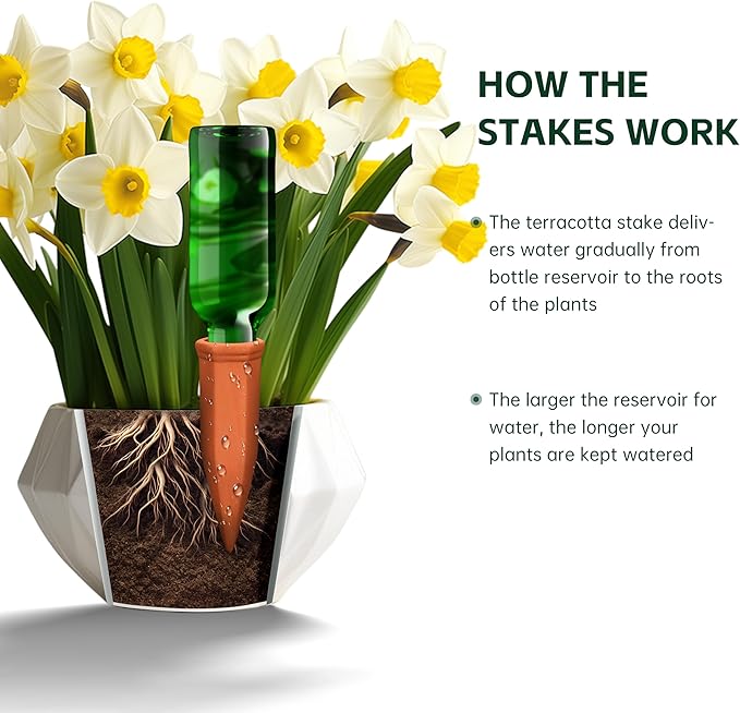 Large Terracotta Plant Watering Spikes, Automatic Plant Waterer Outdoor | Indoor Use, Vacation Clay Watering Devices System, Slow Release Self Watering Planter Insert, 6 Pack