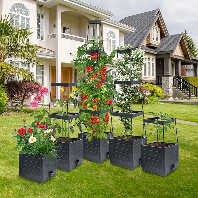 MQUPIN Tomato Planter Box with Trellis for Garden, 57 Inch Self-Watering Raised Garden Bed, Patio Tomato Cage for Climbing Vegetables & Flowers, Upgraded Tomato Pot for Indoor Outdoor Use (2 Pack)