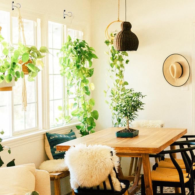 6Pack 2.5Inch Ceiling Hooks for Hanging Plant, Hanger for Indoor and Outdoor Plant Pots Holder, Wall Hook for Planters, Flower Basket, Wind Chimes, Lanterns, Lights, Bird Feeders, Home Decor-White