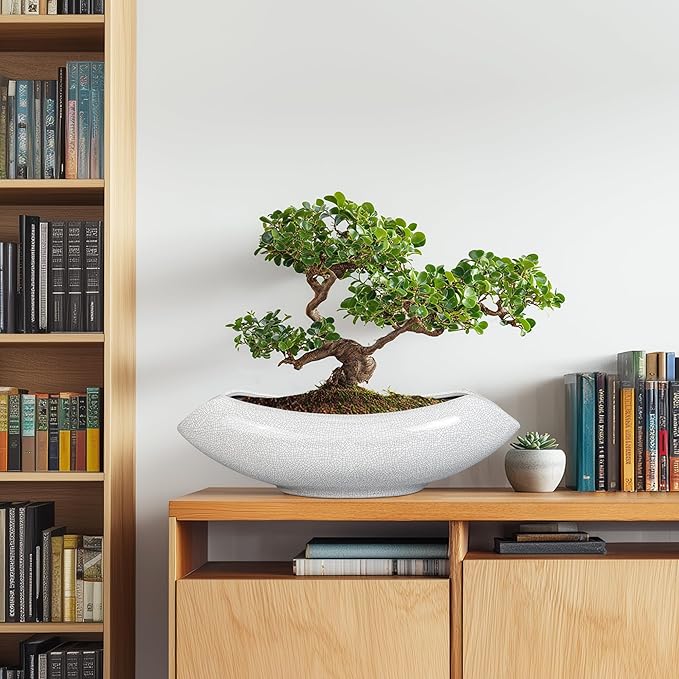 Ceramic Bonsai Tree Pot - 18 Inch Ceramic Pots for Plants, Large Succulent Planter with Drainage Hole for Indoor Outdoor, Unique Planters for Flower, Home Decor, Gardening Gifts, White-Black