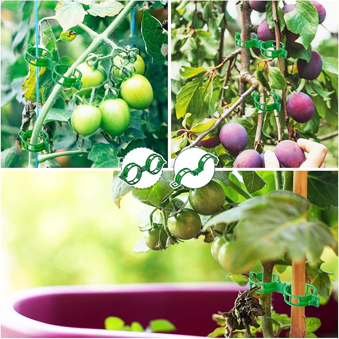 OJYUDD 200 Pcs Plant Support Clips,Plastic Plant Clips for Climbing Plants,Garden Vine Clips for Tomato,Grape,Cucumber,Vegetables (Green)