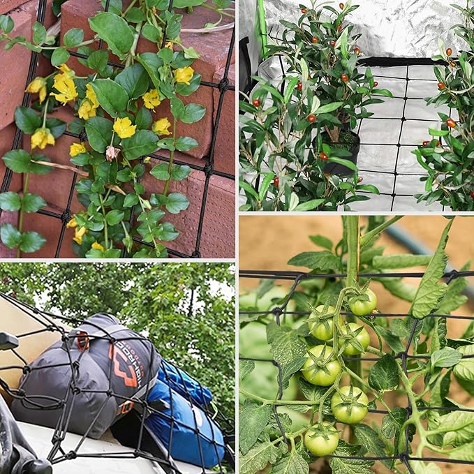 VIVOSUN 2 x 2Ft. Elastic Trellis Netting with 4 Hooks for Climbing Plants, Vegetables, Fruits, and Flowers, 1-Pack