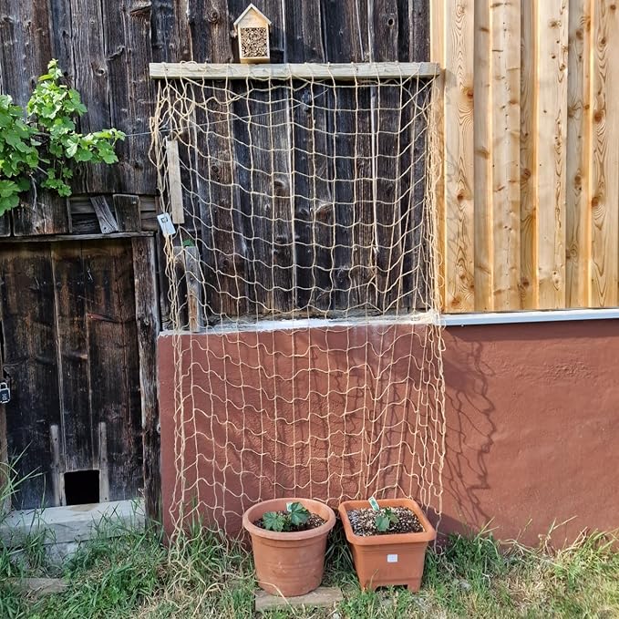 Jute Trellis Netting - Jute Netting for Garden, Heavy Duty Plant Support Netting for Climbing Plants, Cucumber, Vine, Fruits & Vegetables, Climbing Vining Plants (6.6 Ft x 16.4 Ft, 5.9 Inch Squares)