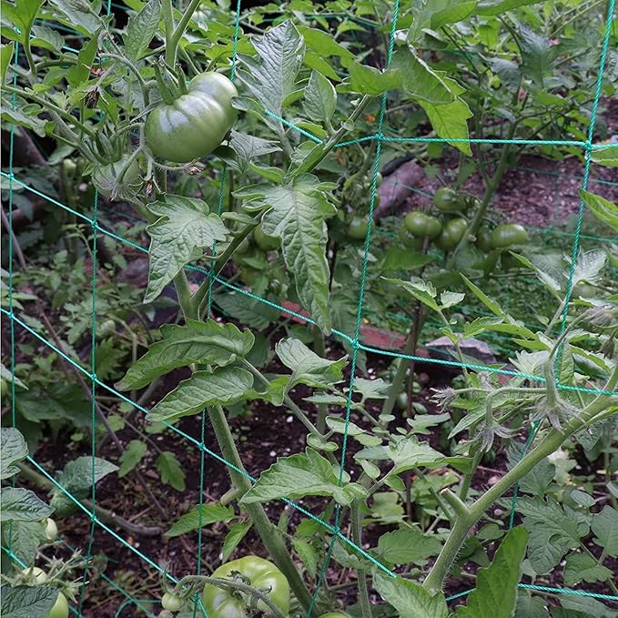 Trellis Netting for Climbing Plants - Heavy Duty Garden Trellis Netting for Cucumber, Vine, Fruits & Vegetables Tomato Plants Trellis Net, Climbing Vining Plants (2-Pack 3.3' x 6.6'Ft)