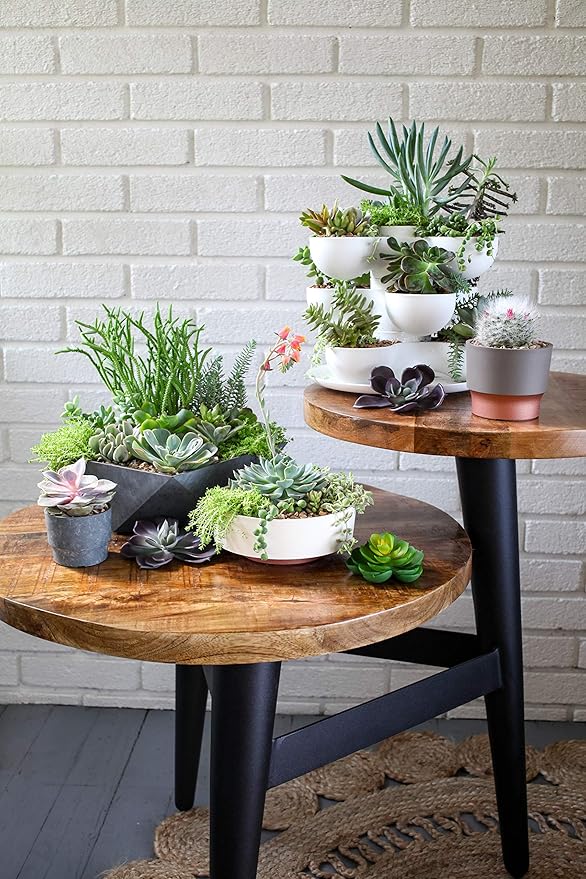 The HC Companies 8 Inch Round Plastic Succulent Capri Bowl Decorative Indoor Flower Succulent Planter Pot with Drain Plug Hole, Faux Concrete Color (2 Pack)