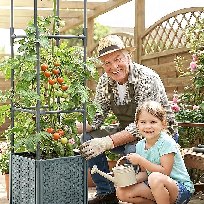 Raised Garden Bed with Tomato Planter Cage, Trellis Planter Boxes for Outdoor Patio Greenhouse Gardening Climbing Vegetables
