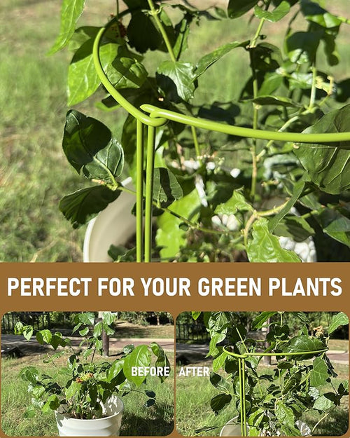 10-Pack Plant Support Stakes, Heavy Duty Steel Plant Stakes as Monstera Plant Support & Peony Cages, Metal Garden Stakes for Indoor Outdoor Plants, Snake Plant & Vine Support, 10" W x 15.8" H
